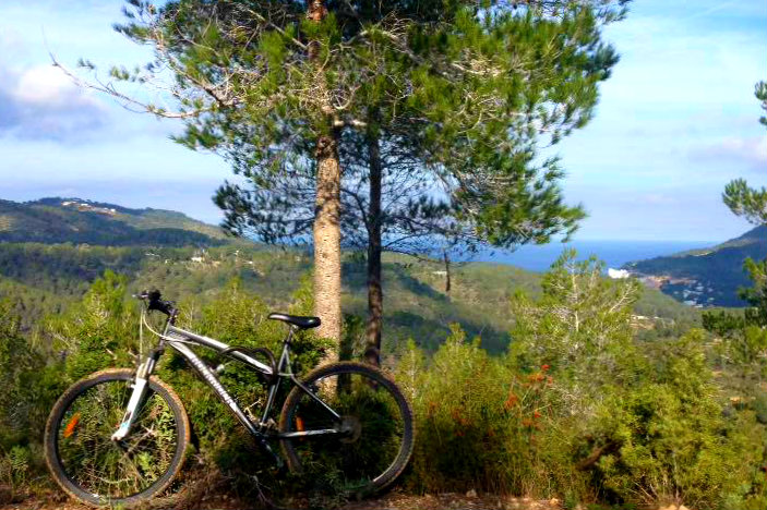 Bicycle hire Ibiza set to become publicly funded
