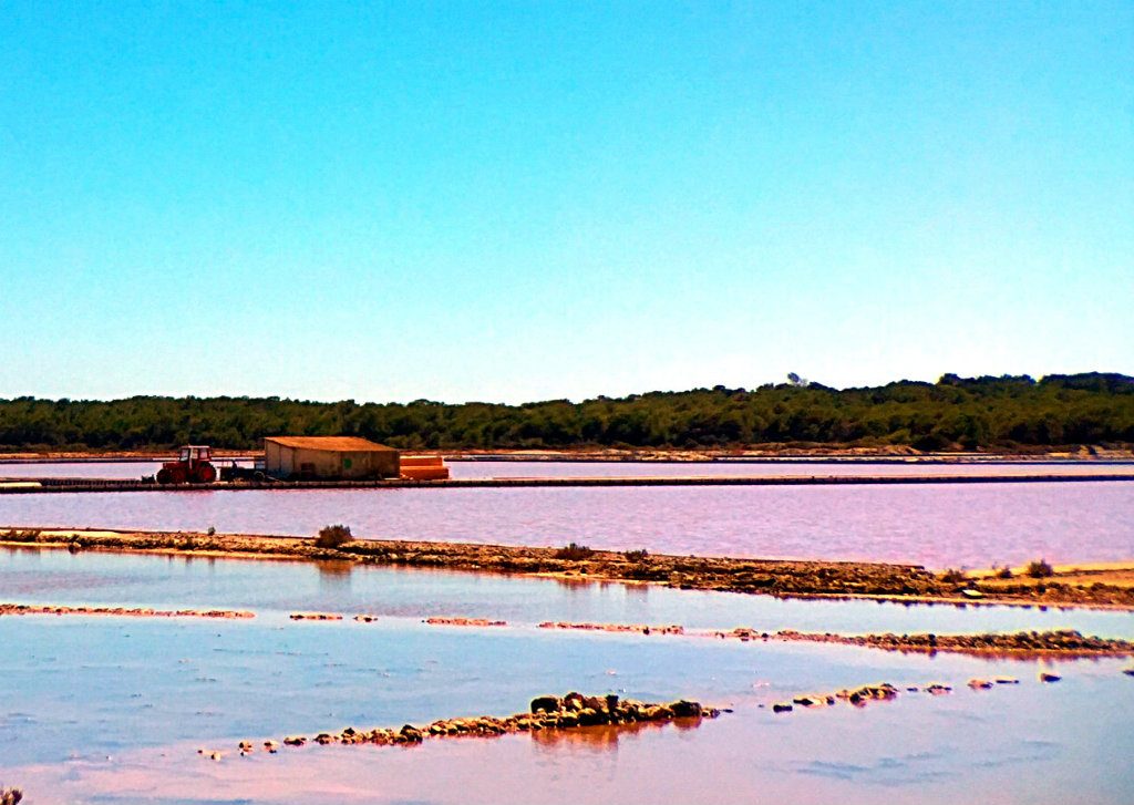 Las Salinas Ibiza salt plains