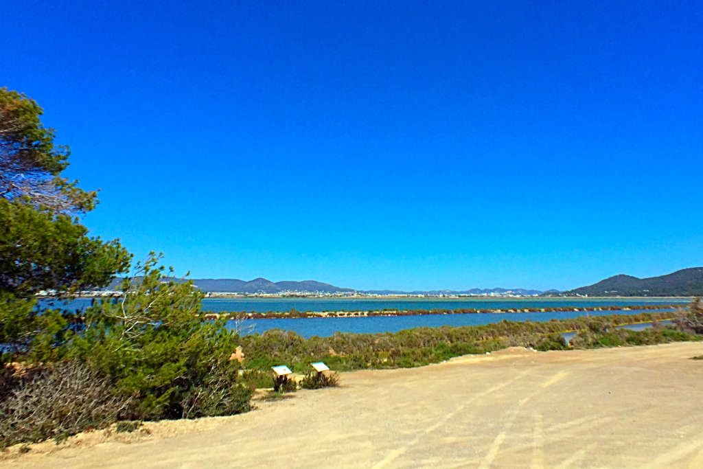 Las Salinas Ibiza salt flats