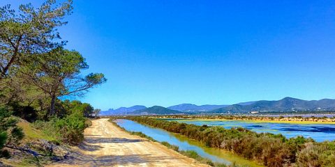 Las Salinas Ibiza 2018 guide