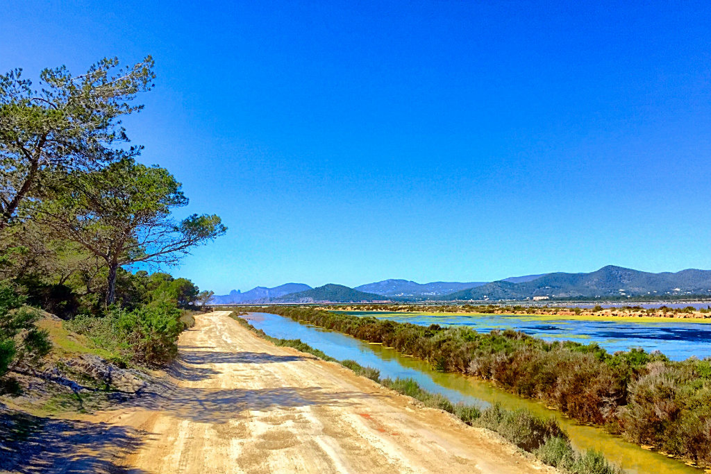 Las Salinas Ibiza  beach heaven, nature reserve & World Heritage Site