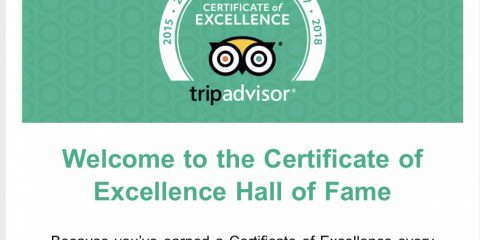 Boats Ibiza in 2019 Trip Advisor Hall of Fame